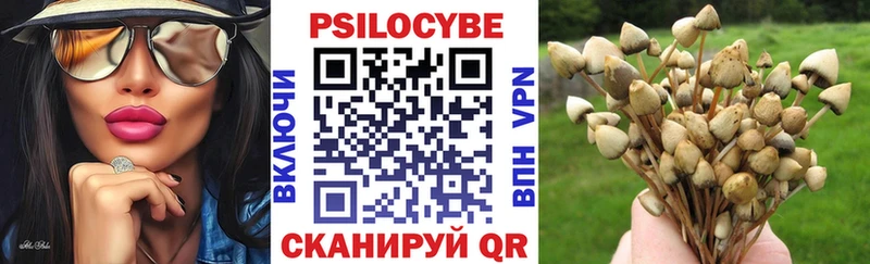 Галлюциногенные грибы прущие грибы  Купить где  Черкесск 